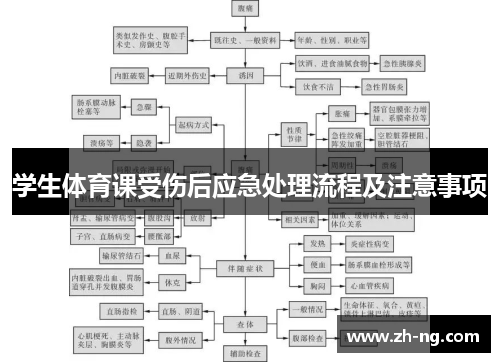 学生体育课受伤后应急处理流程及注意事项